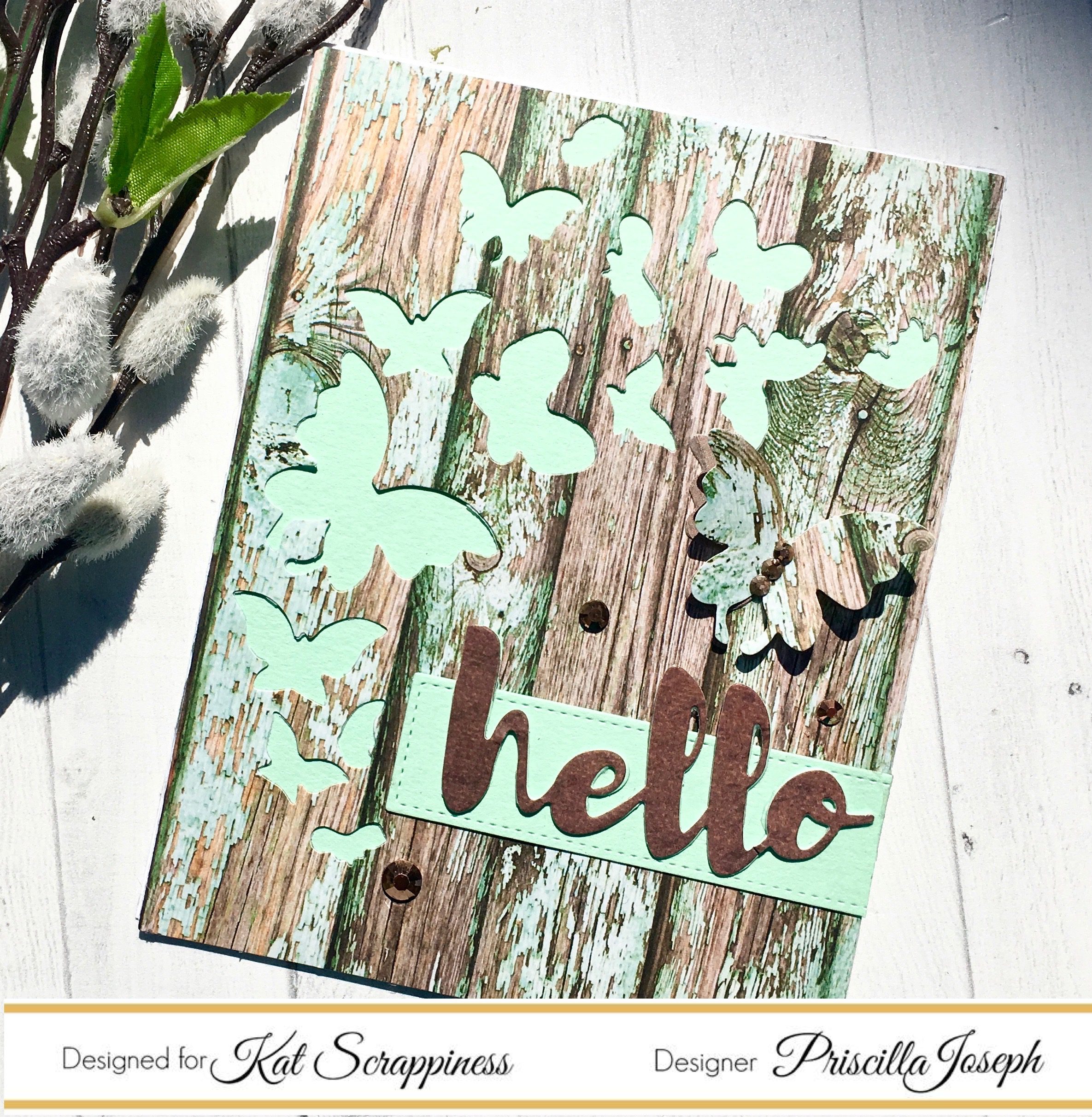 Butterflies Everywhere!