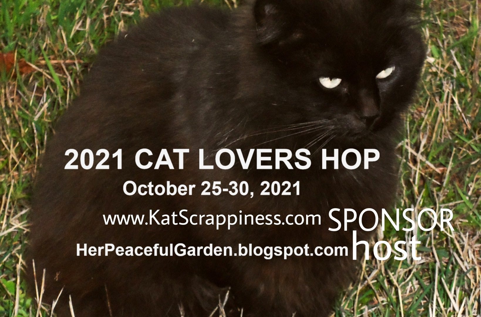 Cat Lovers Blog Hop with KatScrappiness